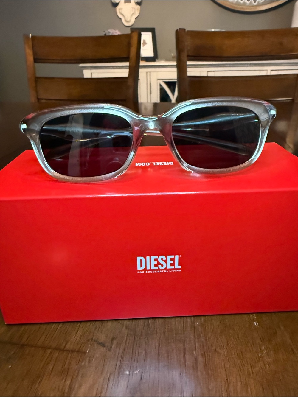 Diesel Translucent Beige Frame Sunglasses with Dark Lenses